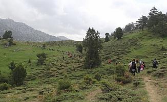 Dağcılardan Küpe Dağı'na tırmanış