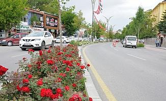 Kırşehir Belediyesinin peyzaj çalışmaları