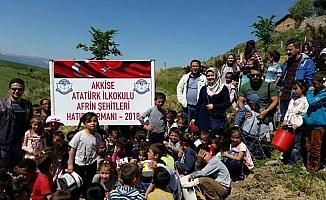 Öğrenciler Afrin şehitleri için fidan dikti