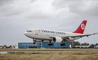 Türk kirazı, Turkish Cargo ile taşınıyor