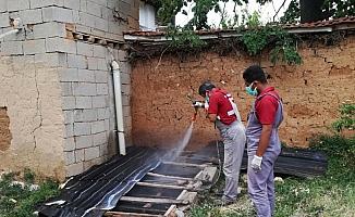 Kırşehir Belediyesinin haşerelere karşı mücadele çalışmaları