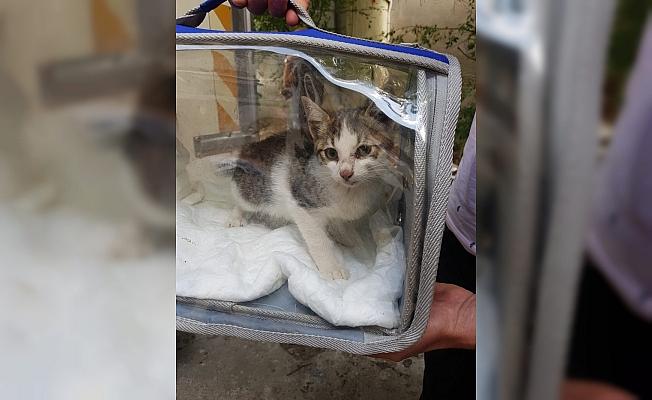 Su kuyusuna düşen kedi yavrusunu AFAD ekipleri kurtardı