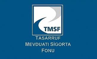 TMSF Cumhurbaşkanlığı ilgili kurumu oldu