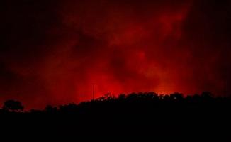 California'nın kuzeyinde yeni orman yangını