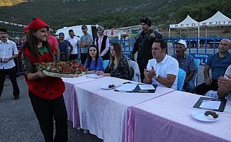Seydişehir'de en iyi çilek yetiştiriciliği yarışması