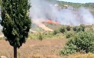 Tuzla’da E-5 kenarında yangın
