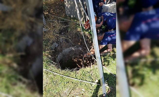 Konya'da kuyuya düşen yavru köpek kurtarıldı