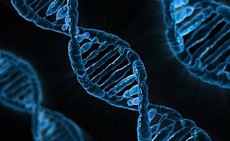 Tüketilen gıdanın DNA'ya 'net' etkileri tespit edildi