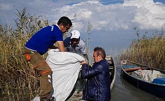 Beyşehir Gölü'nde kaçak avcılığa karşı denetim yapıldı