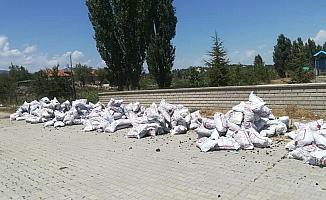 Beyşehir'de bin 349 aileye yakacak yardımı
