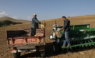 Yozgat'ta hububat ekimi sürüyor
