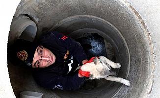 Kanalizasyona düşen köpeği itfaiye ekibi kurtardı