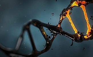 Kanser hücrelerinin DNA'ları 'altının çekim gücüne kapılıyor'