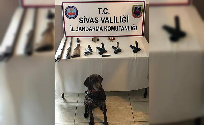 Sivas'ta silah kaçakçılığı operasyonu