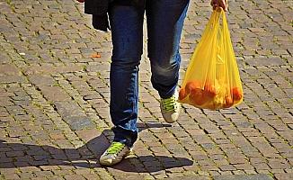 Avusturya’da plastik poşet kullanımı yasaklanacak