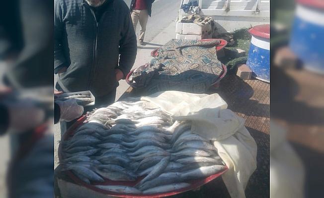 Konya'da boy limiti altı balık satışına ceza