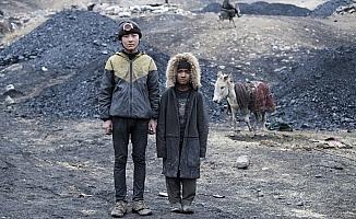 Çocuk maden işçilerinin yaşam mücadelesi: Afgan Kömürü