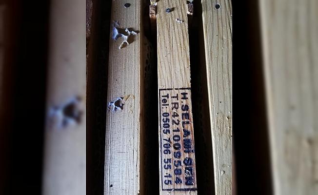 Konya'da arı kovanı hırsızlığı