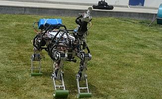 4 ayaklı arazi robotu üretildi