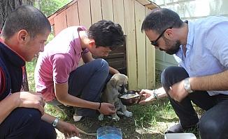 Öğrenciler hayvanlar için barınaklar yaptı