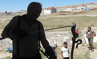 Kayseri'de eve giren yılanı itfaiye ekipleri çıkardı