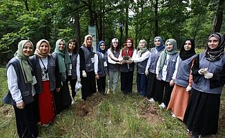 Türk öğrenciler Bosna Hersek'te edindikleri tecrübeden memnun