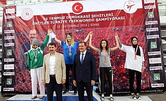 Ümitler Türkiye Tekvando Şampiyonası