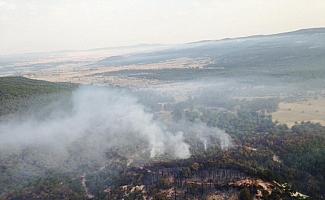 Eskişehir'deki orman yangını kontrol altında