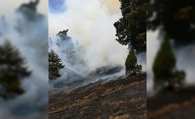 GÜNCELLEME - Yozgat'ta orman yangını