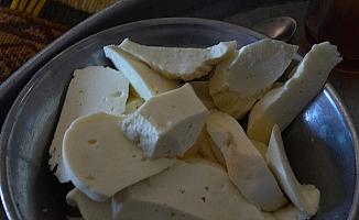 Sason yaylalarında sütün tulum peynirine yolculuğu