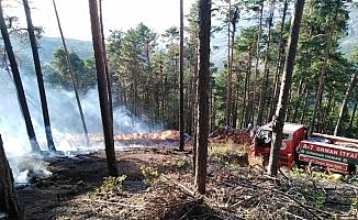 Sivas'ta orman yangını