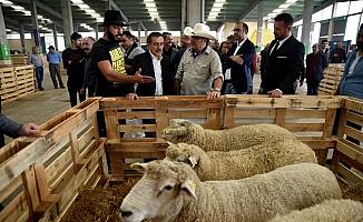 Türkiye'nin çobanları Eskişehir'de buluştu