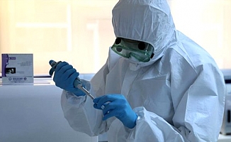 Çin 15 Dakikada Corona Virüs Test Kiti Geliştirdi.