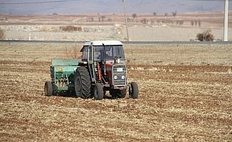Beyşehir Gölü Havzasında çiftçiler pandemi döneminde de mesaisini sürdürüyor