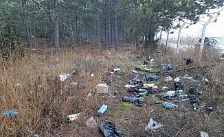 Eskişehir'de ormanlık alandan 50 çuval çöp toplandı