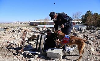 JAKEM'de doğal afetlerde kullanılan arama-kurtarma köpekleri ile tatbikat düzenlendi