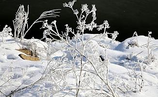 Sivas'ta soğuk hava etkisini sürdürüyor
