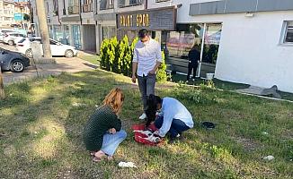 Sivas'ta bıçaklanarak öldürülmüş bir kedi yavrusu bulundu