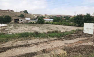 Güdül'de bazı ekili araziler sağanak ve doludan zarar gördü