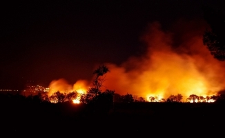 Fransa'nın güneyindeki orman yangını halen kontrol altına alınamadı