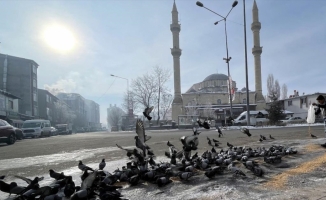 Doğu Anadolu'da soğuk hava ve sis hayatı olumsuz etkiliyor