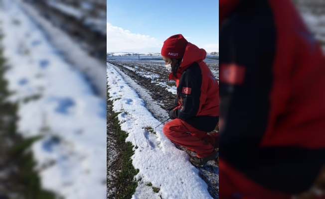 GÜNCELLEME 2 - Eskişehir'de kaybolan çiftçinin cesedi bulundu