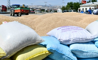 Ankara Büyükşehir Belediyesinden çiftçiye nohut tohumu desteği