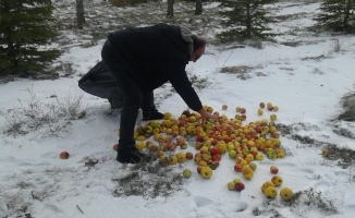 Kırşehir'de kış döneminde doğaya 8 ton yem bırakıldı