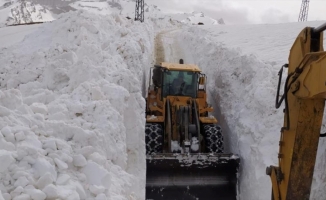 Hakkari'de üs bölgesi yollarında 8 metre karla mücadele