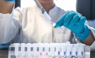 İngiltere'de yapılan araştırmada kansere yol açabilen yeni mutasyon imzaları saptandı