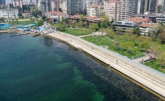İstanbul'da bazı sahillerde müsilaj benzeri kirlilik görüldü