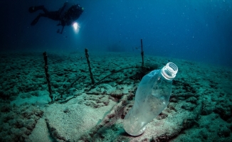 Plastik atıklar denizlerde biyoçeşitliliği olumsuz etkiliyor