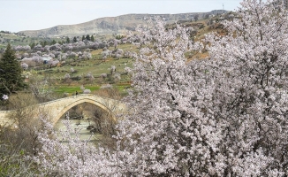 Tarihin doğayla bütünleştiği Çemişgezek'te ilkbahar güzelliği