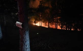 Yangın ekolojisi uzmanından uyarı: Büyük orman yangın çağına girmiş durumdayız